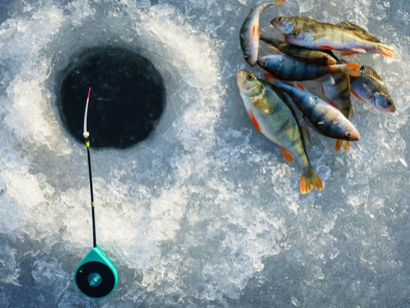 Best ice fishing casino demo in United Kigdom Best ice fishing casino demo in United Kigdom